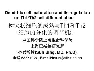 树突状细胞的成熟与 Th1 和 Th2 细胞的分化的调节机制