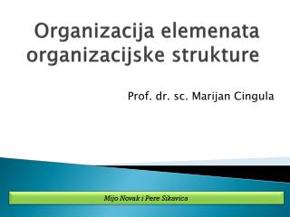 Organizacija elemenata organizacijske strukture