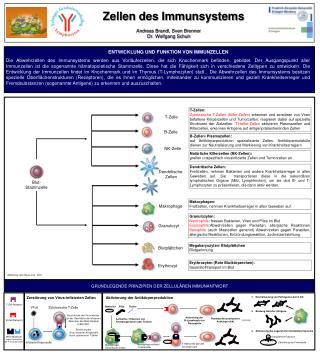 Zellen des Immunsystems Andreas Brandl, Sven Brenner