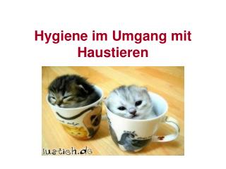 Hygiene im Umgang mit Haustieren