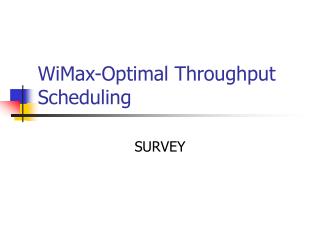 WiMax-Optimal Throughput Scheduling