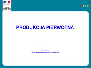 PRODUKCJA PIERWOTNA Patricia Lallement DGAL-SDSSA- Oddział działań horyzontalnych