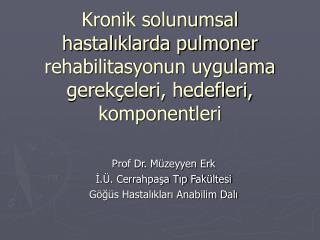 Prof Dr. Müzeyyen Erk İ.Ü. Cerrahpaşa Tıp Fakültesi Göğüs Hastalıkları Anabilim Dalı