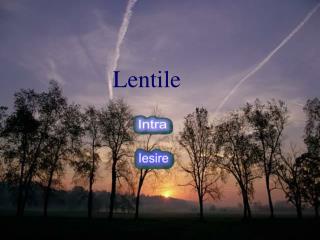 Lentile