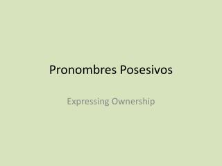 Pronombres Posesivos