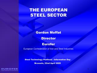 THE EUROPEAN STEEL SECTOR