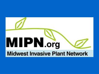 MIPN Board of Directors