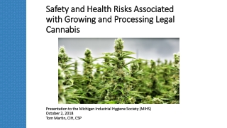 Safety and Health Risks Associated with Growing and Processing Legal Cannabis
