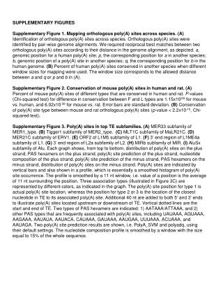 SUPPLEMENTARY FIGURES