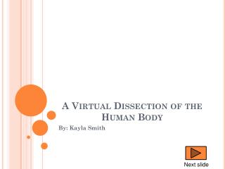 A Virtual Dissection of the Human Body