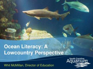 Ocean Literacy: A Lowcountry Perspective