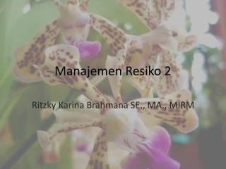 Manajemen Resiko 2