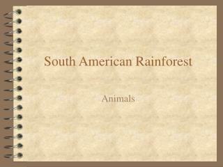 South American Rainforest