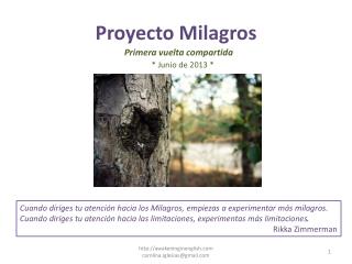 Proyecto Milagros