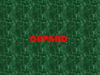 GEPARD