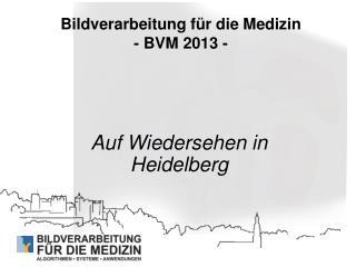 Bildverarbeitung für die Medizin - BVM 2013 -