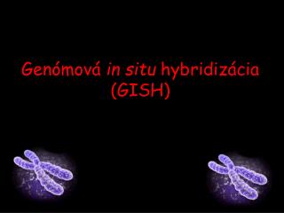 Genómová in situ hybridizácia (GISH)