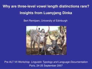 Why are three-level vowel length distinctions rare? Insights from Luanyjang Dinka