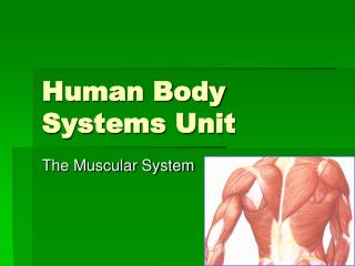 Human Body Systems Unit