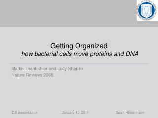 Getting Organized how bacterial cells move proteins and DNA