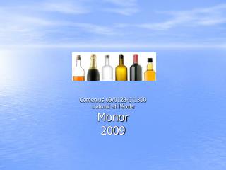 Comenius 09/0128-C/1300 L’alcool et l’école Monor 2009