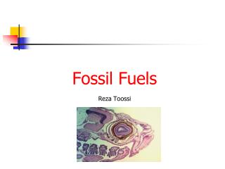 Fossil Fuels Reza Toossi