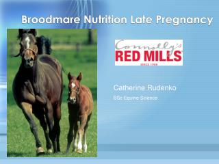 Broodmare Nutrition Late Pregnancy