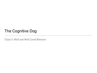 The Cognitive Dog