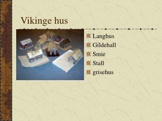 Vikinge hus