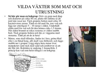 VILDA VÄXTER SOM MAT OCH UTRUSTNING