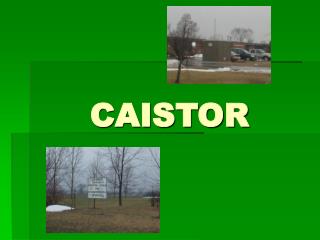 CAISTOR