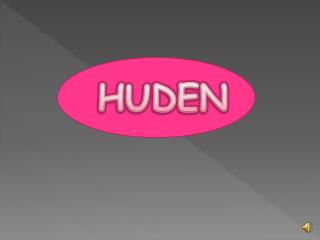 HUDEN