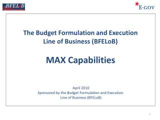 Shared Services as “Common Solutions” of the Budget Formulation &amp; Execution Line of Business