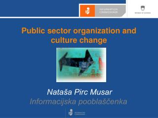 Public sector organization and culture change