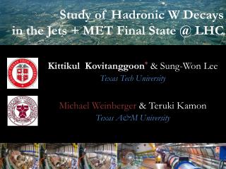 Study of Hadronic W Decays in the Jets + MET Final State @ LHC