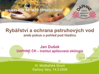 Rybářství a ochrana pstruhových vod aneb pokus o pohled pod hladinu