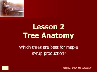 Lesson 2 Tree Anatomy