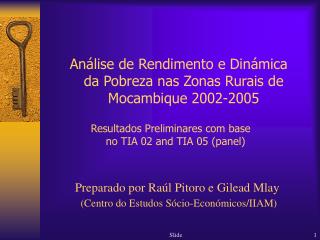 Preparado por Raúl Pitoro e Gilead Mlay (Centro do Estudos Sócio-Económicos/IIAM)