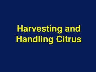 Harvesting and Handling Citrus