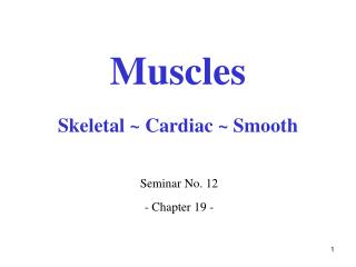 Muscles Skeletal ~ Cardiac ~ Smooth