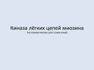 Киназа лёгких цепей миозина THE HUMAN MYOSIN LIGHT CHAIN KINASE