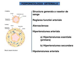FIZIPOPATOLOGIA ARTERIALA