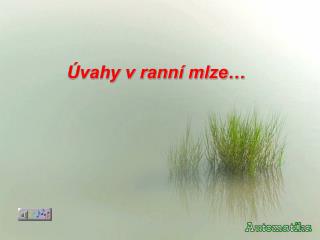 Úvahy v ranní mlze…