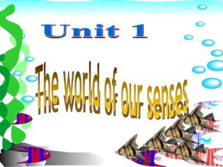 The world of our senses