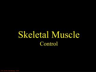 Skeletal Muscle Control