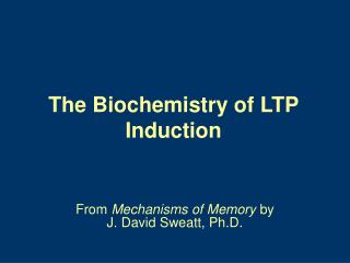 The Biochemistry of LTP Induction