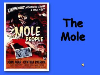 The Mole