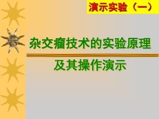 杂交瘤技术的实验原理及其操作演示