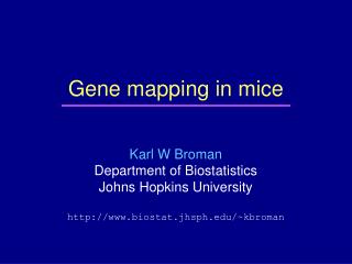 Gene mapping in mice