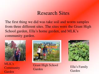 MLK’s Community Garden